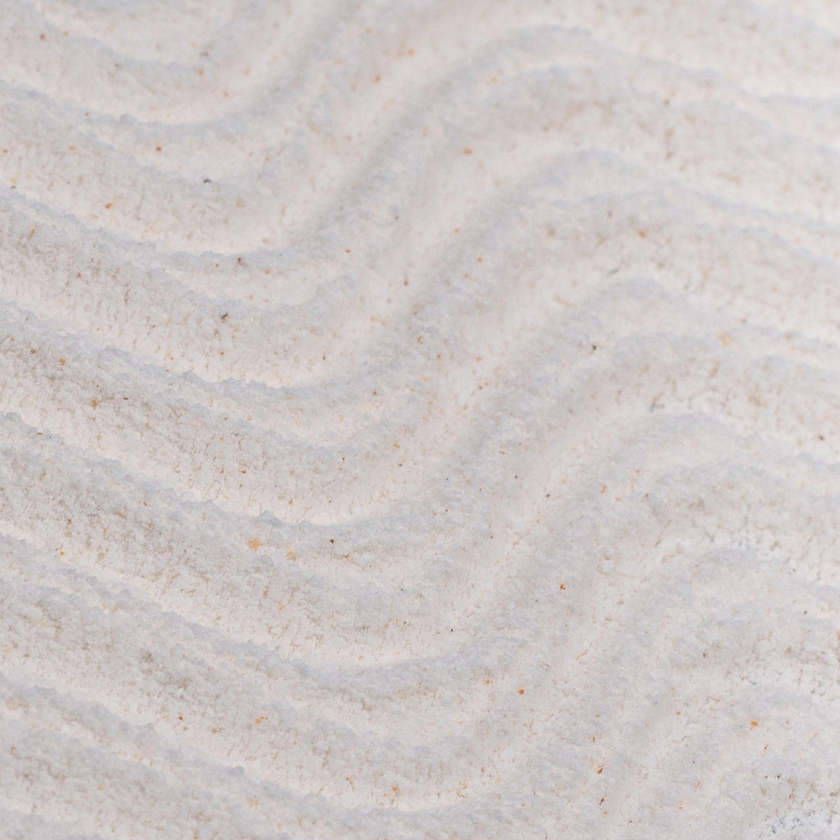 Powder To Foam Face Wash with Willow Bark + Papaya Enzymes — image 13