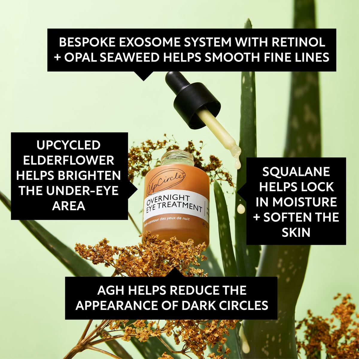 Day + Night Eye Care Bundle — image 4