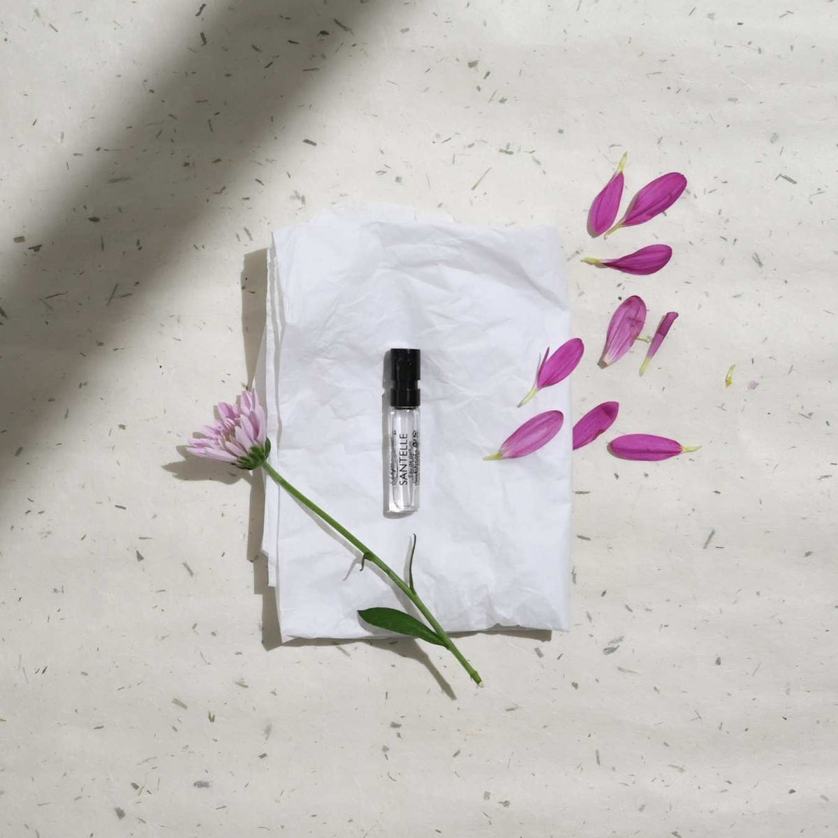 Santelle Eau De Parfum Sample Vial — image 6