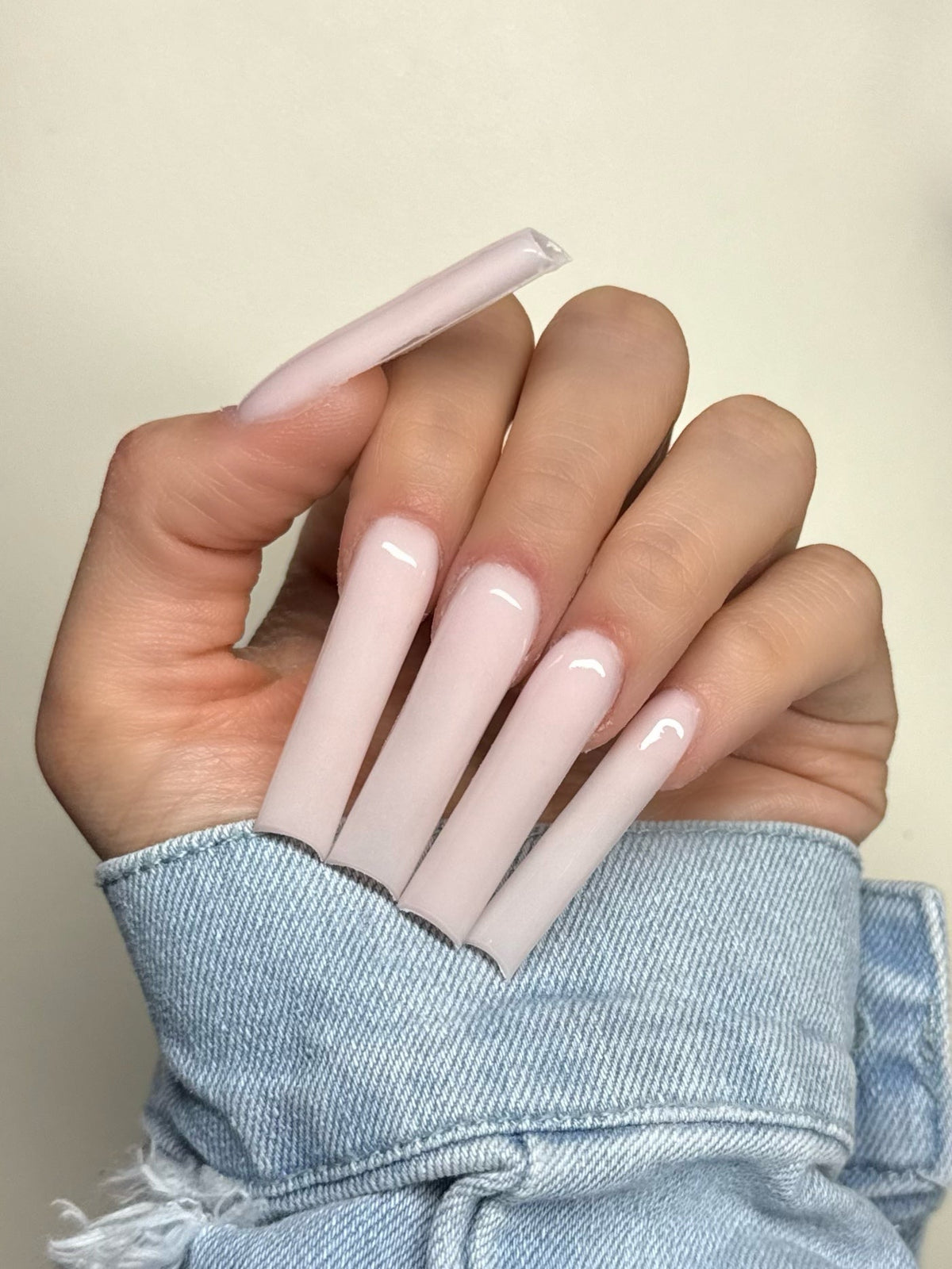 Coconut — image 2