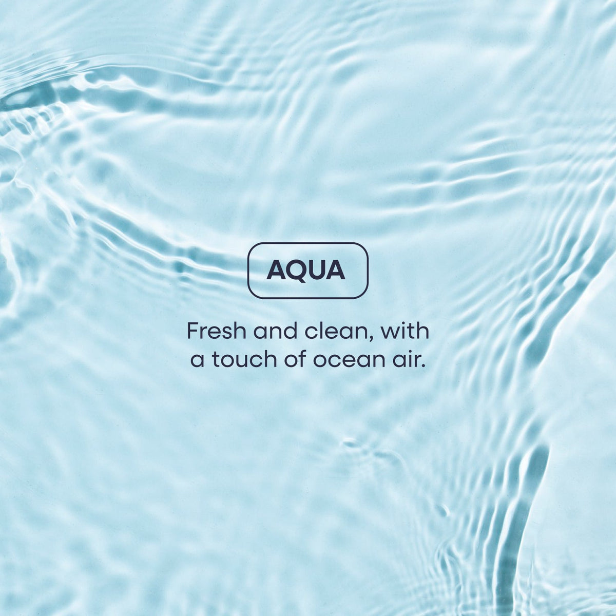 Body Wash Duo — image 5