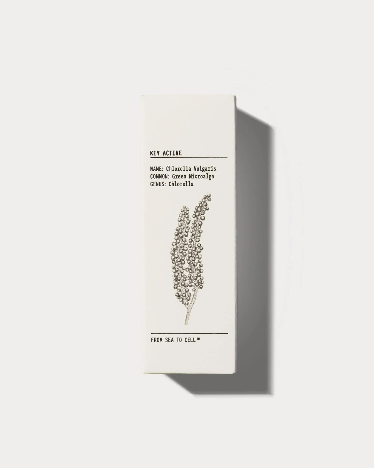 Hydrating Face Serum — image 5