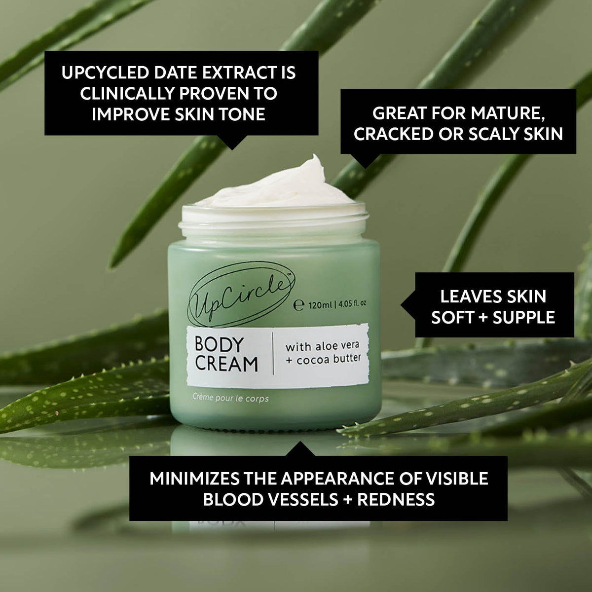 Natural Body Cream with Aloe Vera + Cocoa Butter — image 5
